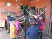 02_2013_gita_scuola_primaria_scuola_svizzera_catania