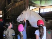 04_2013_gita_scuola_primaria_scuola_svizzera_catania