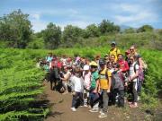 10_2013_gita_scuola_primaria_scuola_svizzera_catania