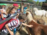 11_2013_gita_scuola_primaria_scuola_svizzera_catania