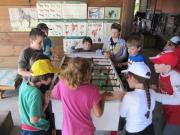 12_2013_gita_scuola_primaria_scuola_svizzera_catania