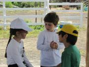 20_2013_gita_scuola_primaria_scuola_svizzera_catania