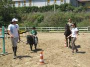 22_2013_gita_scuola_primaria_scuola_svizzera_catania