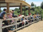 23_2013_gita_scuola_primaria_scuola_svizzera_catania