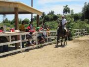 24_2013_gita_scuola_primaria_scuola_svizzera_catania