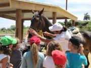 25_2013_gita_scuola_primaria_scuola_svizzera_catania