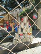 36_2014_carnevale_scuola_svizzera_catania